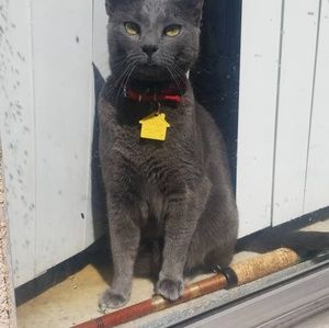 Meet your Posher, Ray